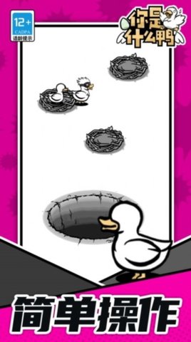 你是什么鸭 你是什么鸭